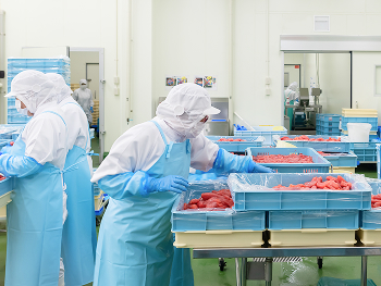 食品工場で働く作業員たちの写真