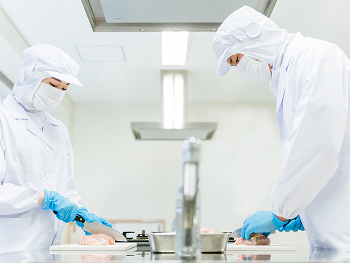食品工場で作業する男女の写真